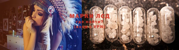 шишки Абаза
