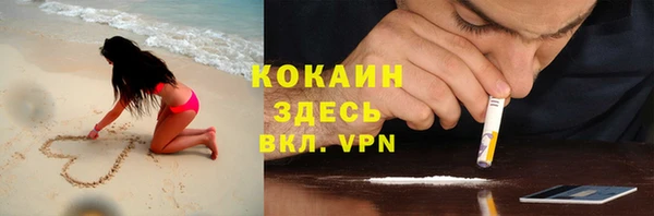 шишки Абаза
