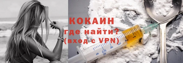 шишки Абаза