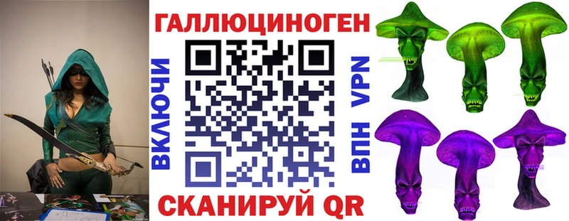 Галлюциногенные грибы GOLDEN TEACHER  KRAKEN ссылки  Мурино 