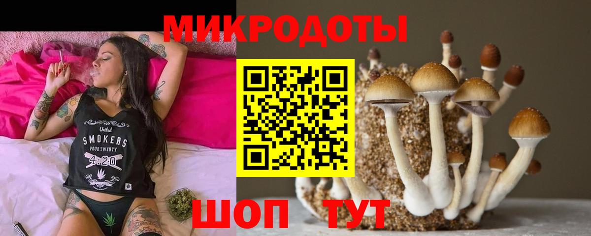Мурино  Галлюциногенные грибы мицелий  Псилоцибиновые грибы Psilocybine cubensis  Вход с VPN 